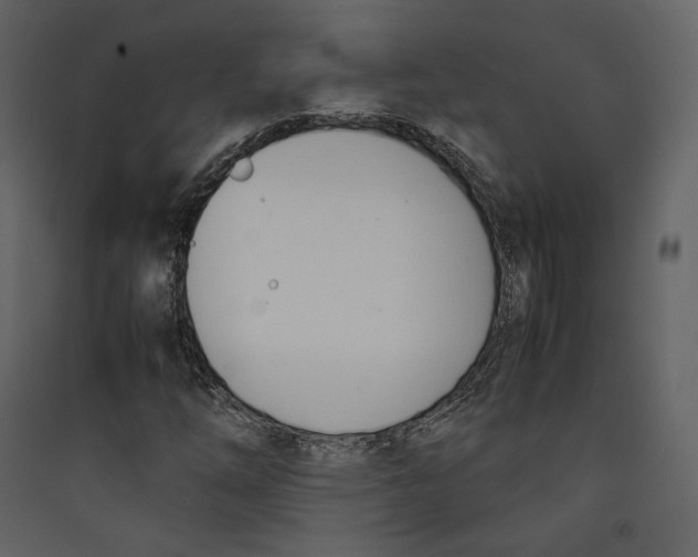 X0000089401254200707131733