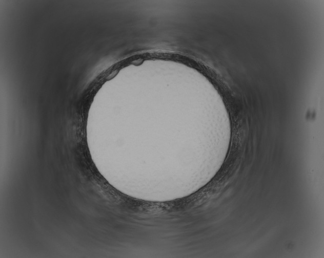 X0000089401255200707131733