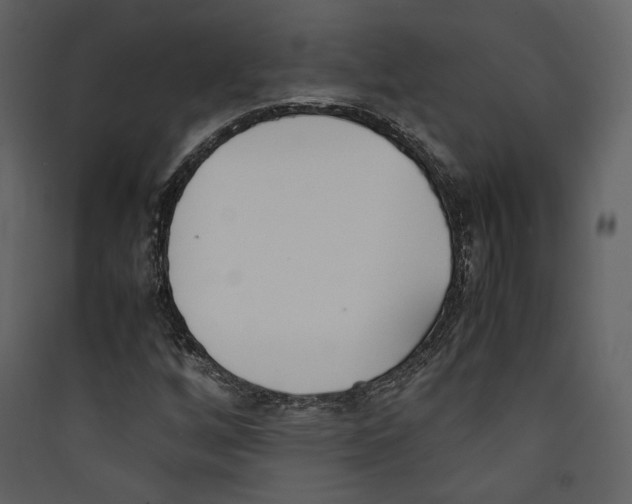 X0000089401256200707131733