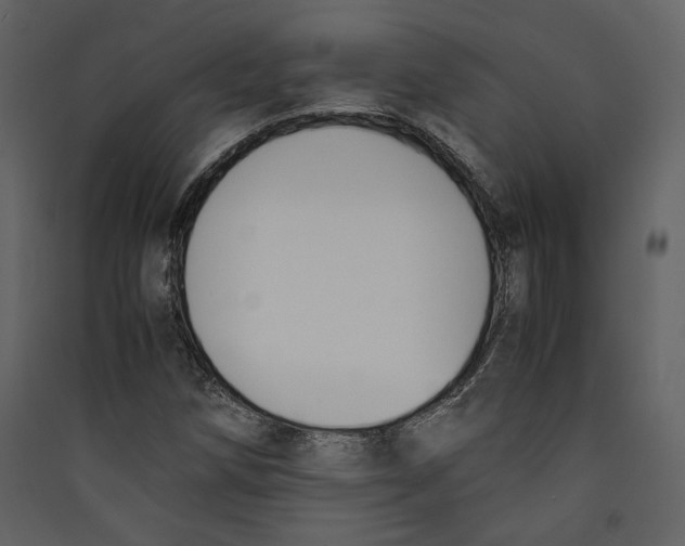 X0000089401258200707131733