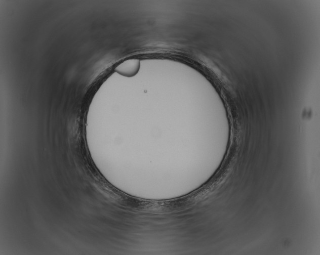 X0000089401259200707131733