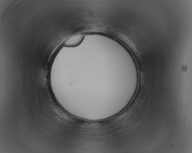 X0000089401260200707131733