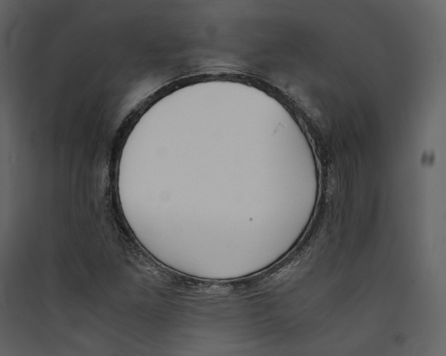 X0000089401261200707131733