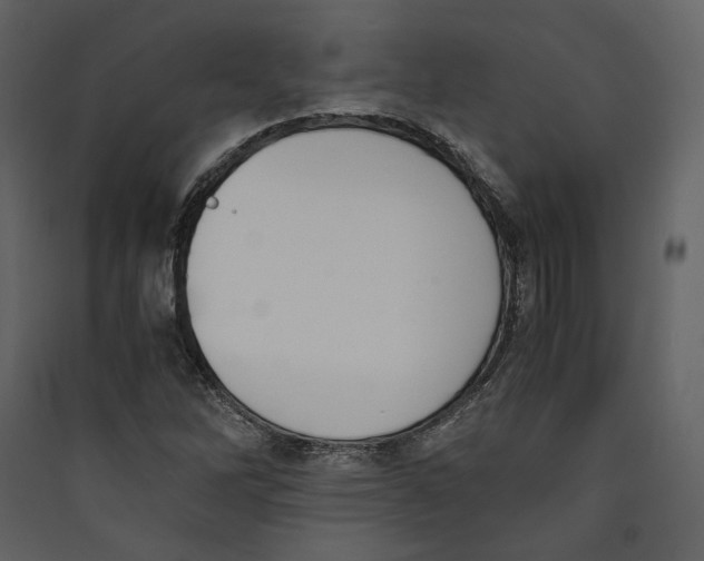 X0000089401262200707131732