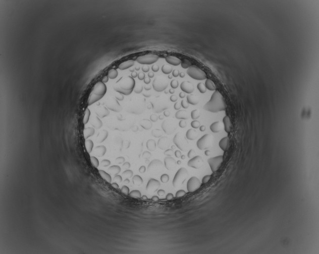 X0000089401263200707131732