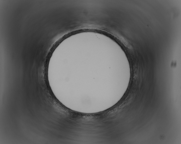 X0000089401264200707131732