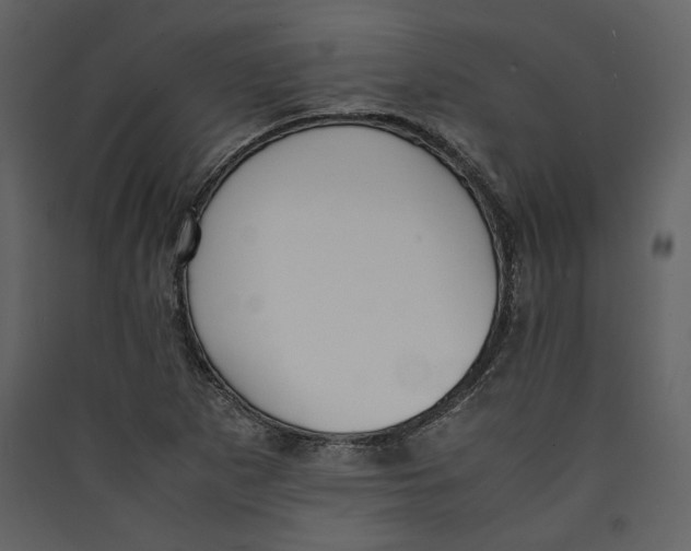 X0000089401265200707131732