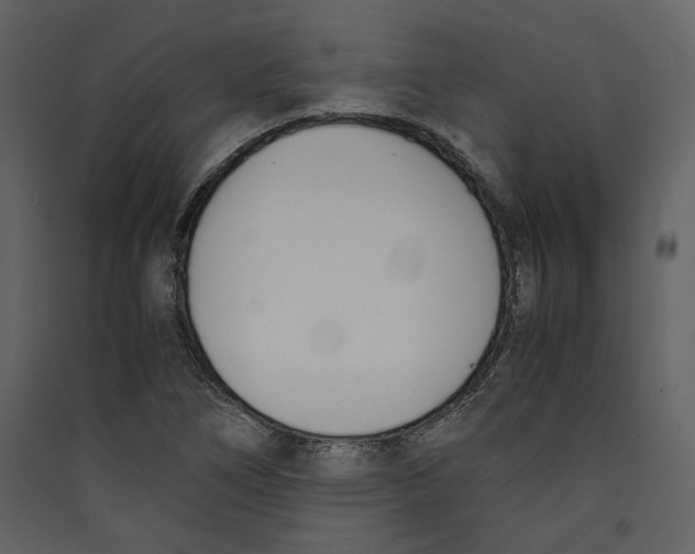 X0000089401266200707131732