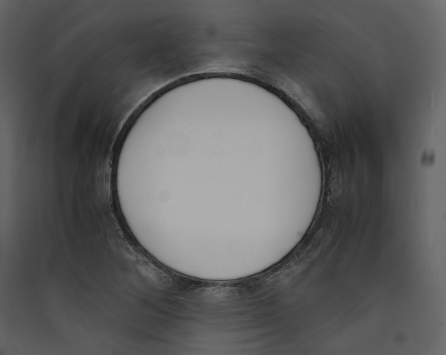 X0000089401268200707131732