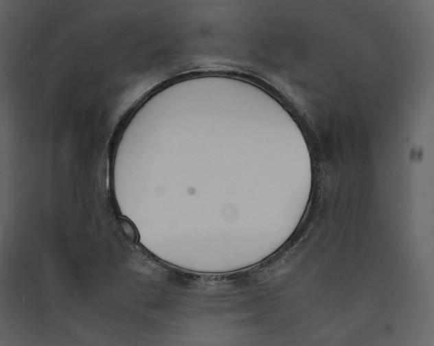 X0000089401269200707131732