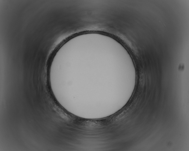 X0000089401270200707131732