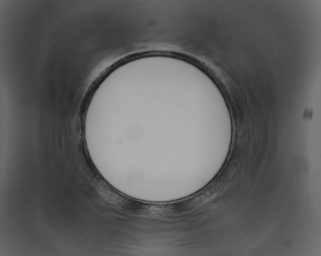 X0000089401271200707131732