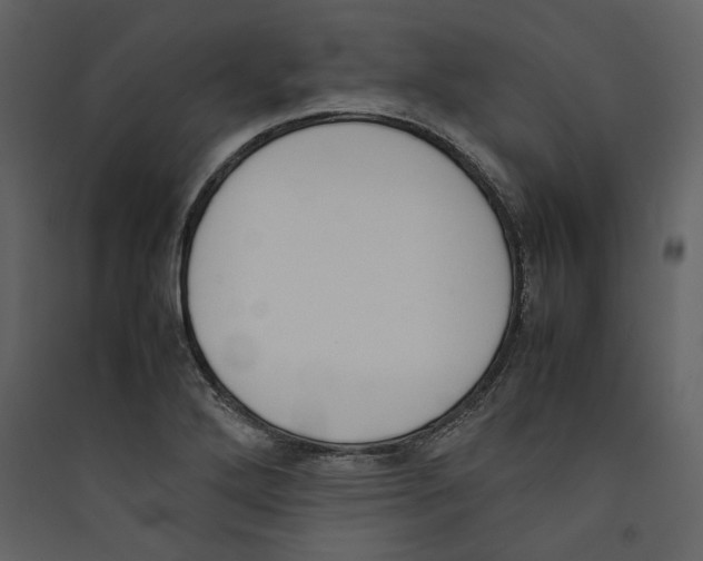 X0000089401272200707131732