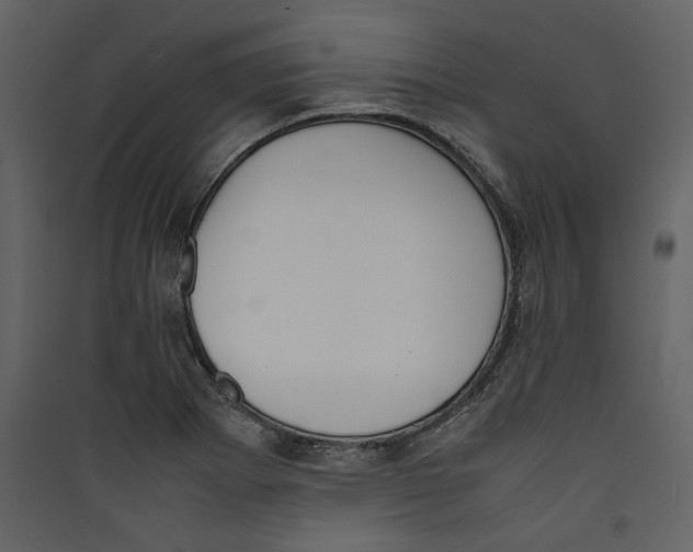X0000089401273200707131732