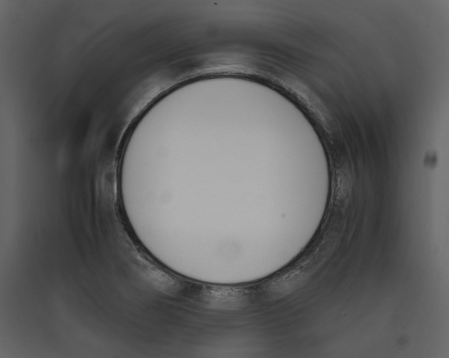 X0000089401274200707131732