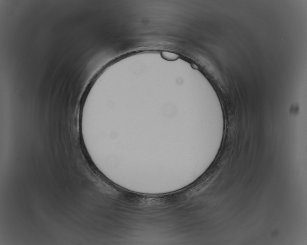 X0000089401275200707131732