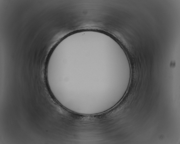X0000089401277200707131732