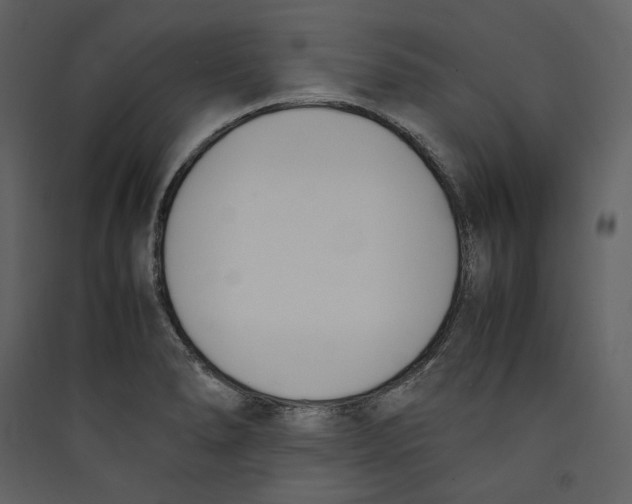 X0000089401278200707131732
