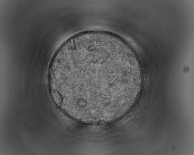 X0000089401279200707131732