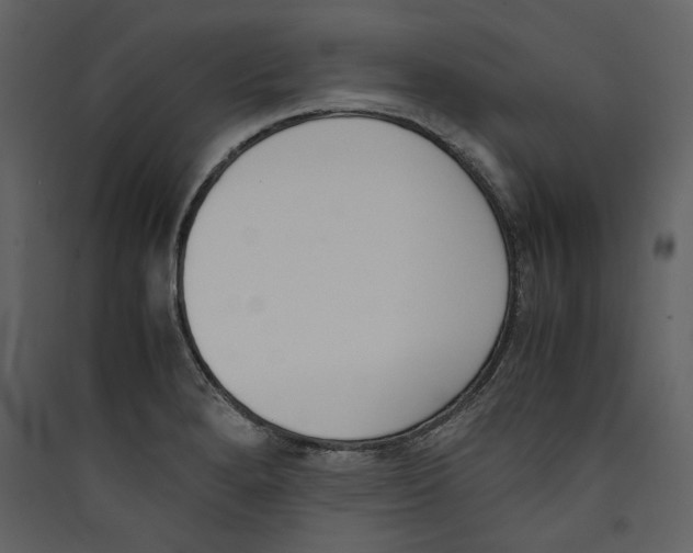 X0000089401280200707131732