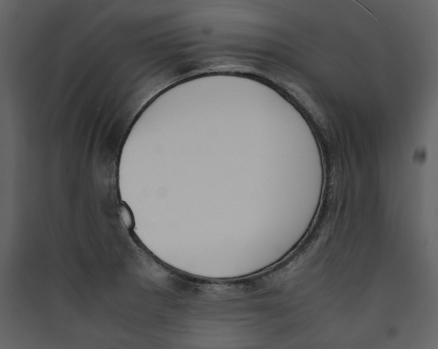 X0000089401281200707131732