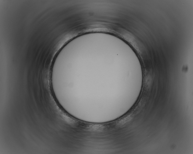 X0000089401282200707131732