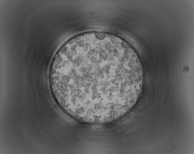 X0000089401283200707131732