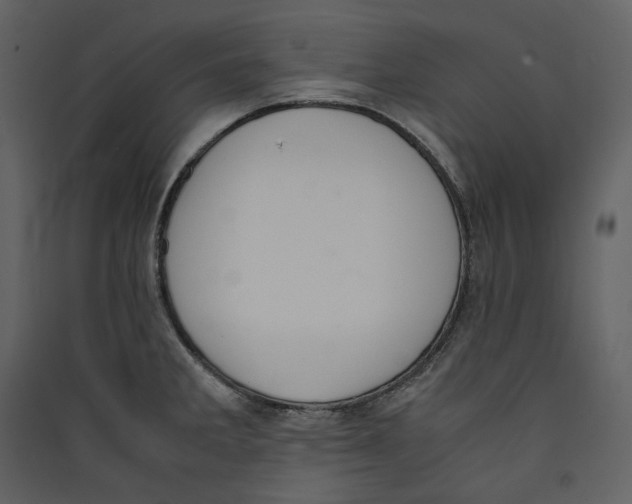 X0000089401285200707131732