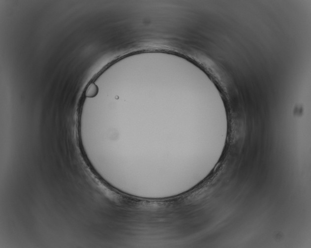 X0000089401286200707131732