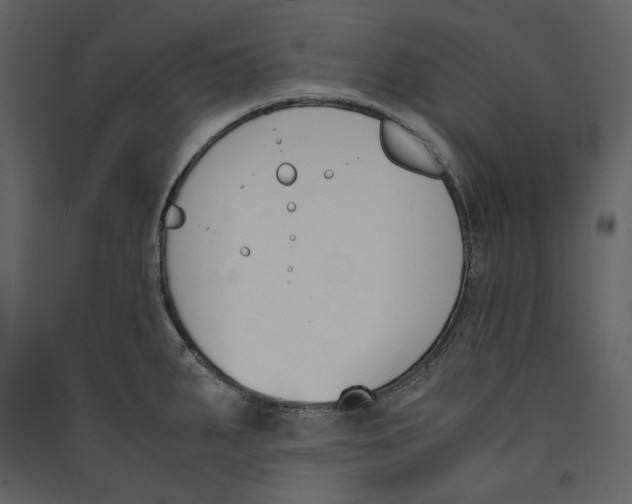 X0000089401287200707131732