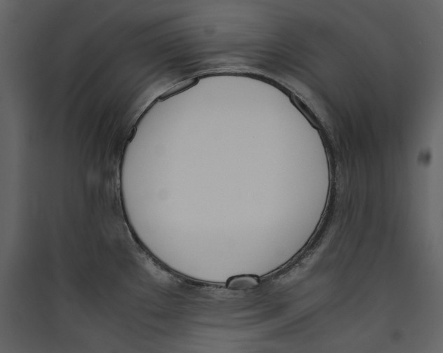 X0000089401289200707131732