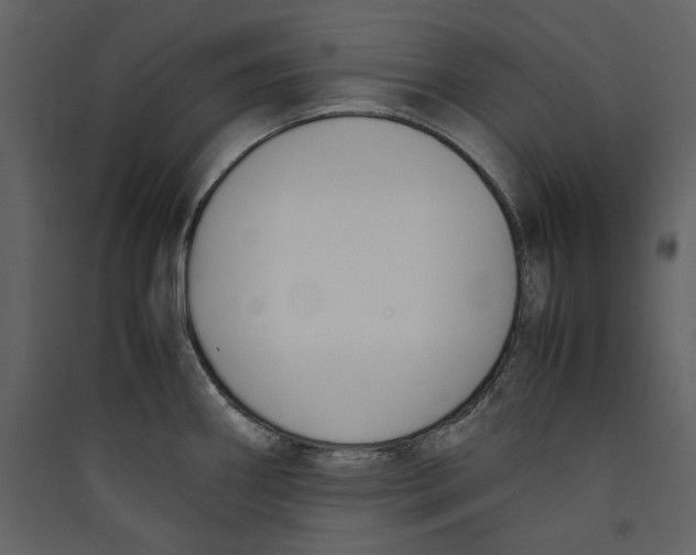 X0000089401290200707131732
