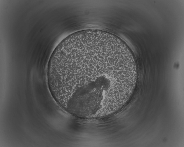 X0000089401291200707131732