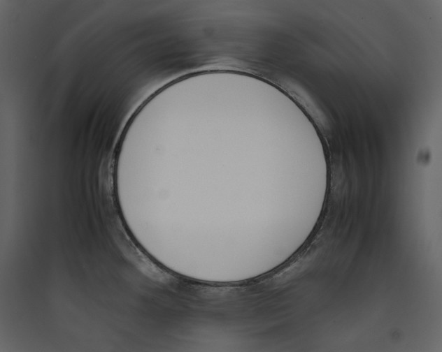 X0000089401292200707131732