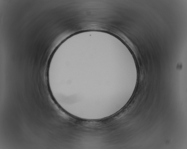 X0000089401293200707131732