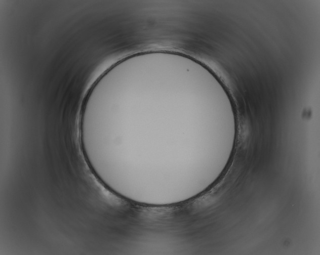 X0000089401294200707131732