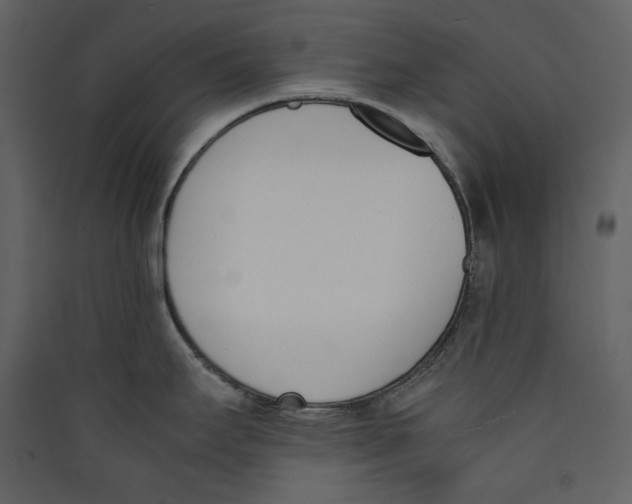 X0000089401295200707131732