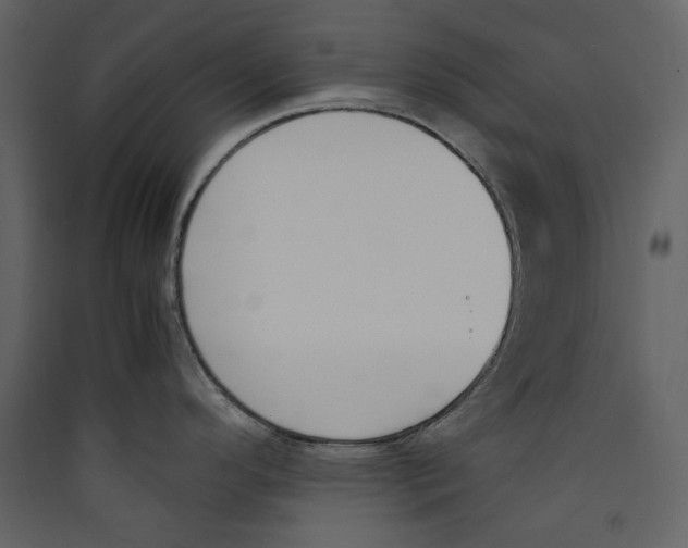 X0000089401296200707131732