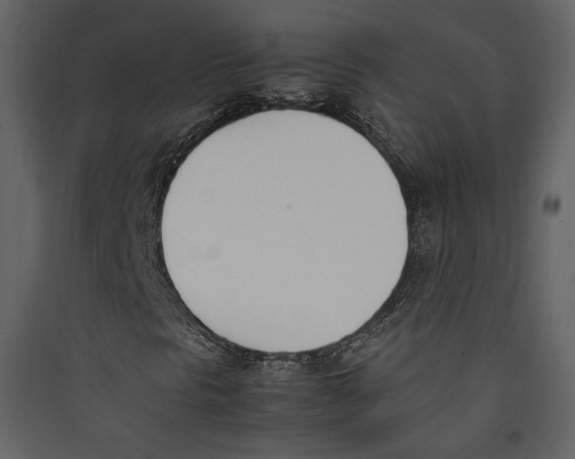 X0000089401297200707131731