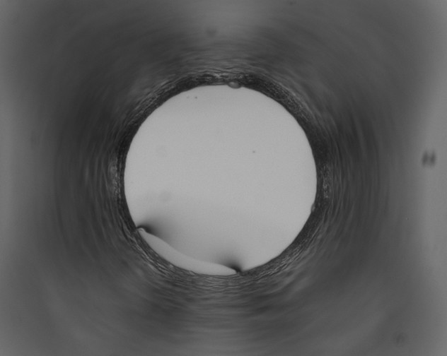 X0000089401298200707131731