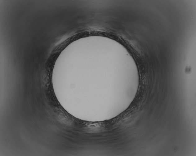 X0000089401303200707131732