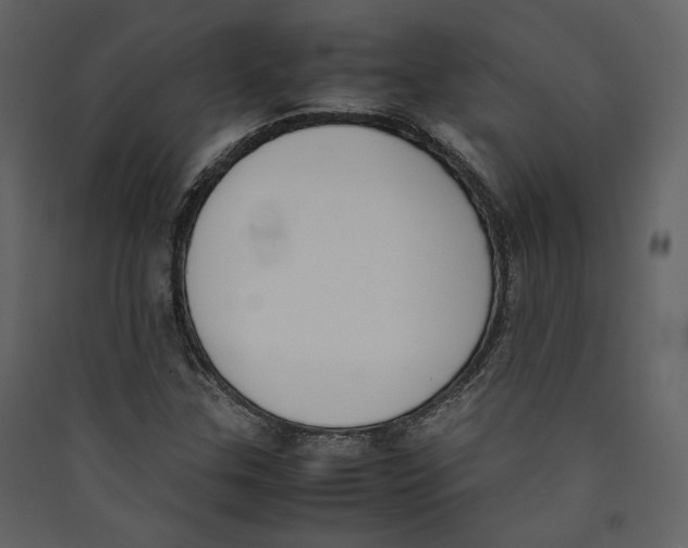 X0000089401307200707131732