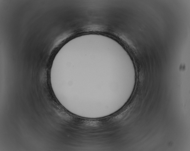 X0000089401309200707131732