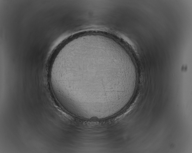 X0000089401310200707131732
