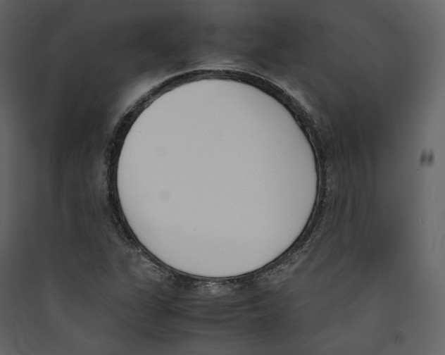 X0000089401311200707131732
