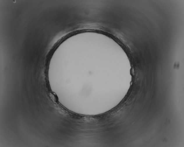 X0000089401312200707131732