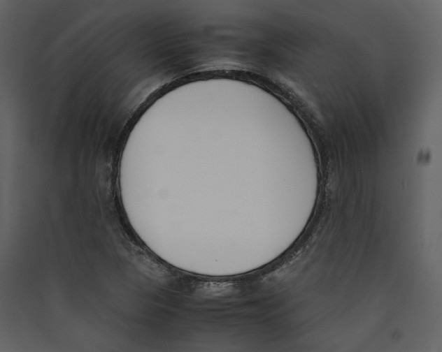 X0000089401313200707131732