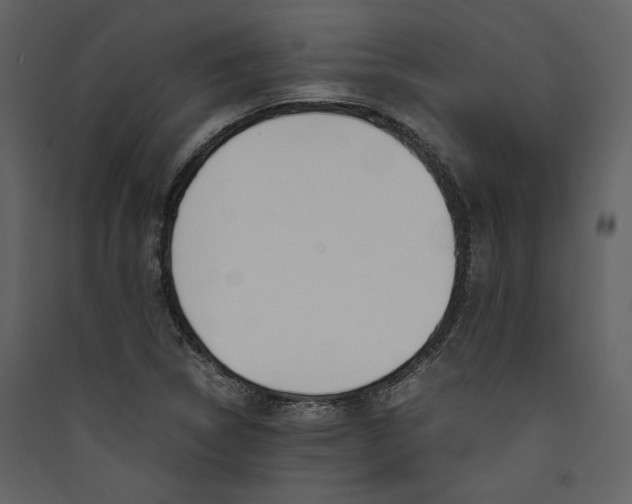 X0000089401314200707131732
