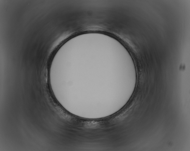 X0000089401317200707131732