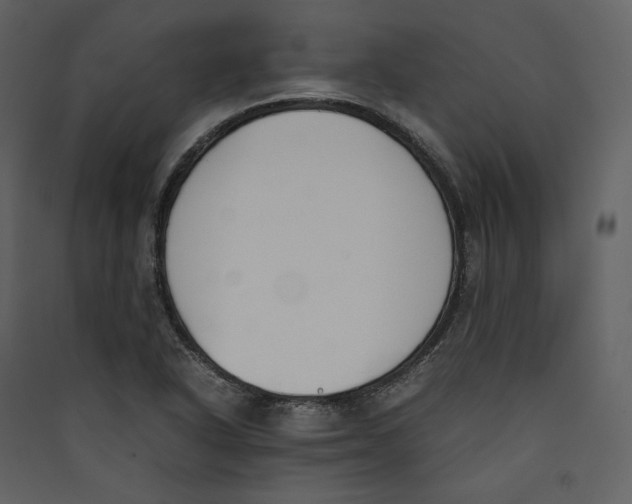 X0000089401318200707131732